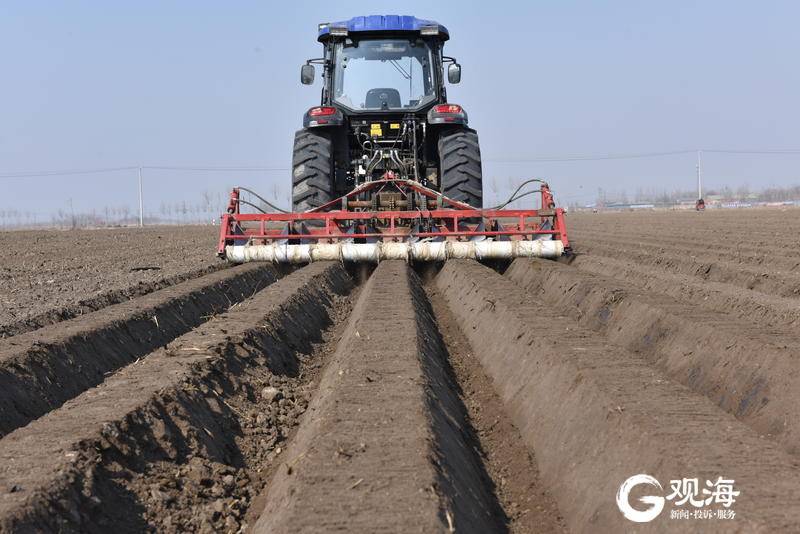 农业黑科技平度大葱开始种植农机搭载北斗导航还能无人驾驶