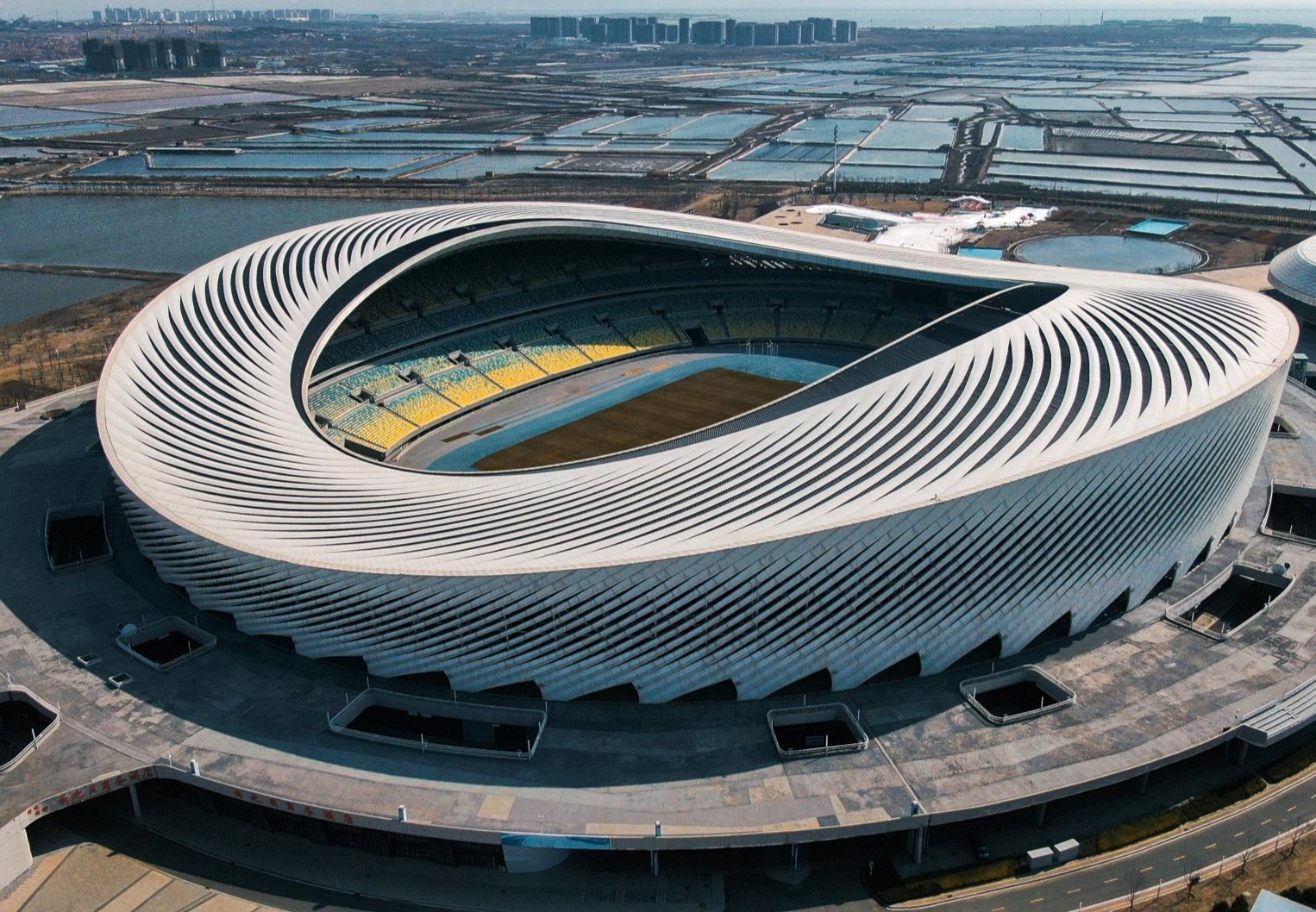 青报网_青岛新闻_青岛日报官网