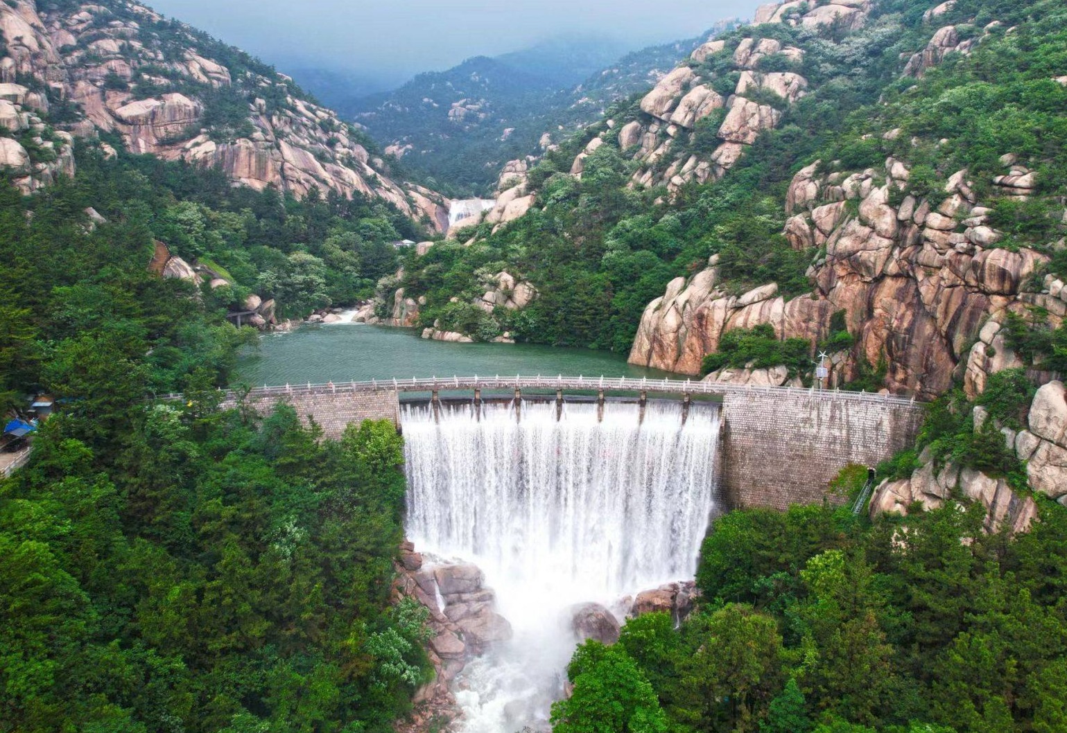 青报网_青岛新闻_青岛日报官网