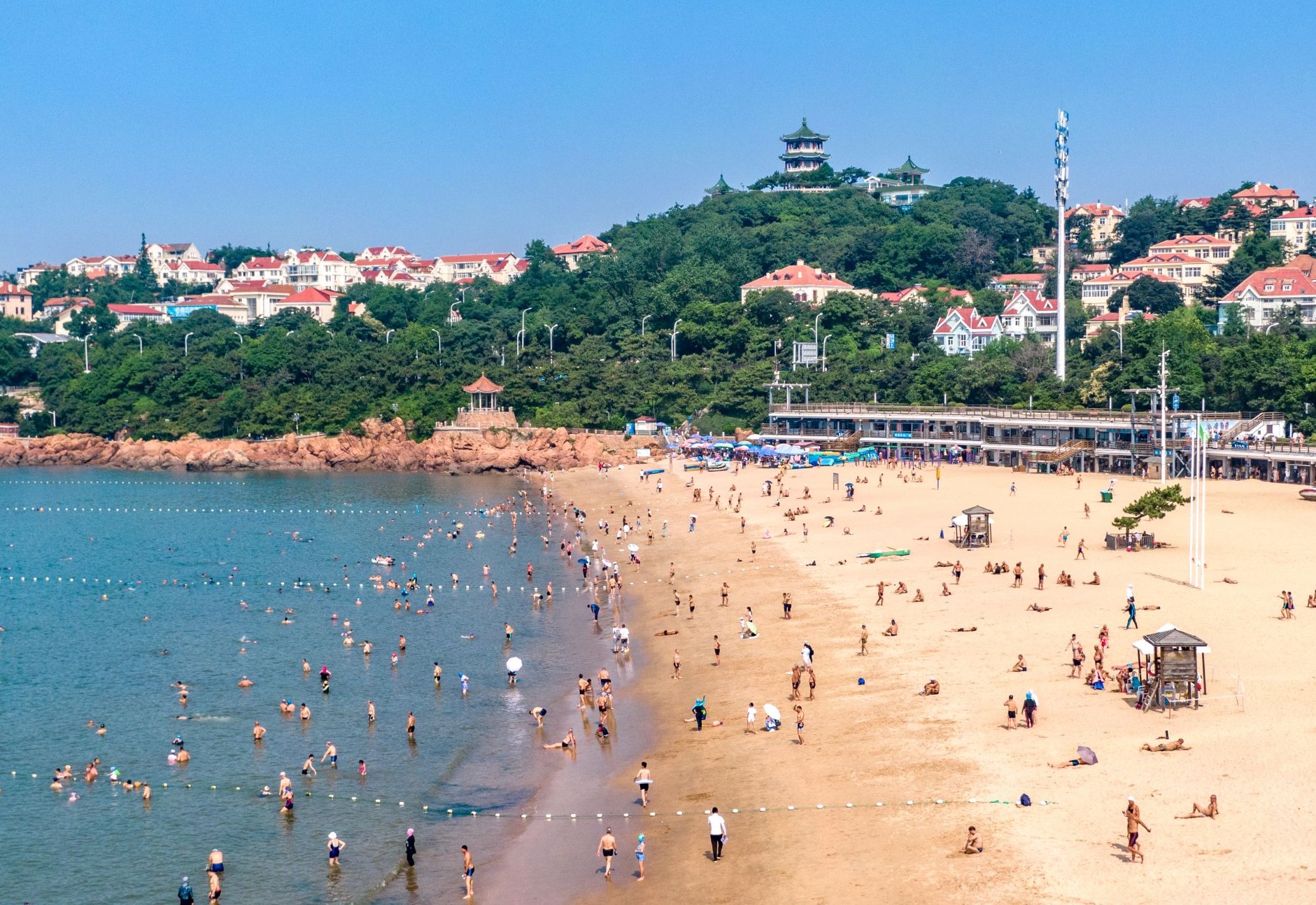 青报网_青岛新闻_青岛日报官网