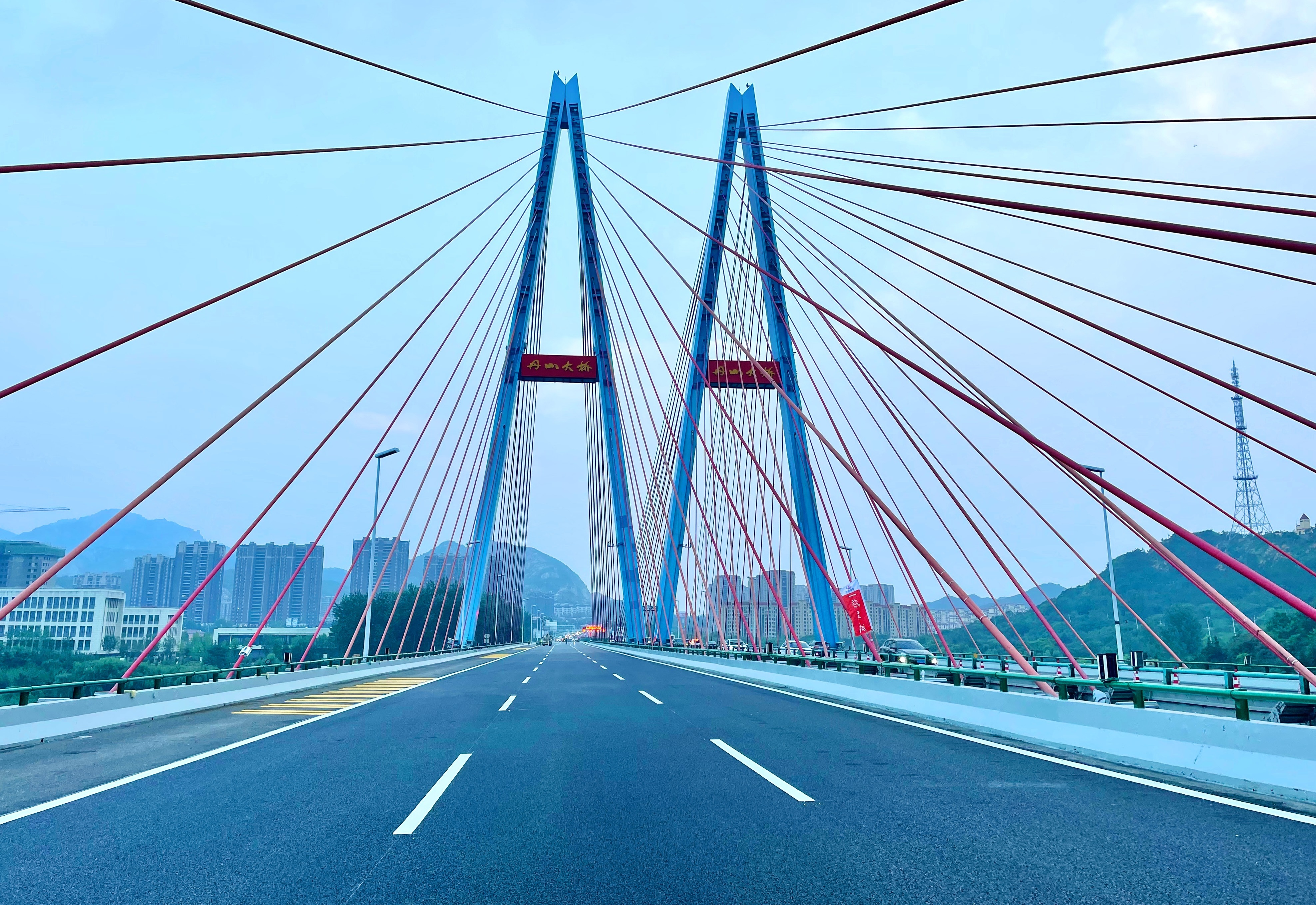 青报网_青岛新闻_青岛日报官网