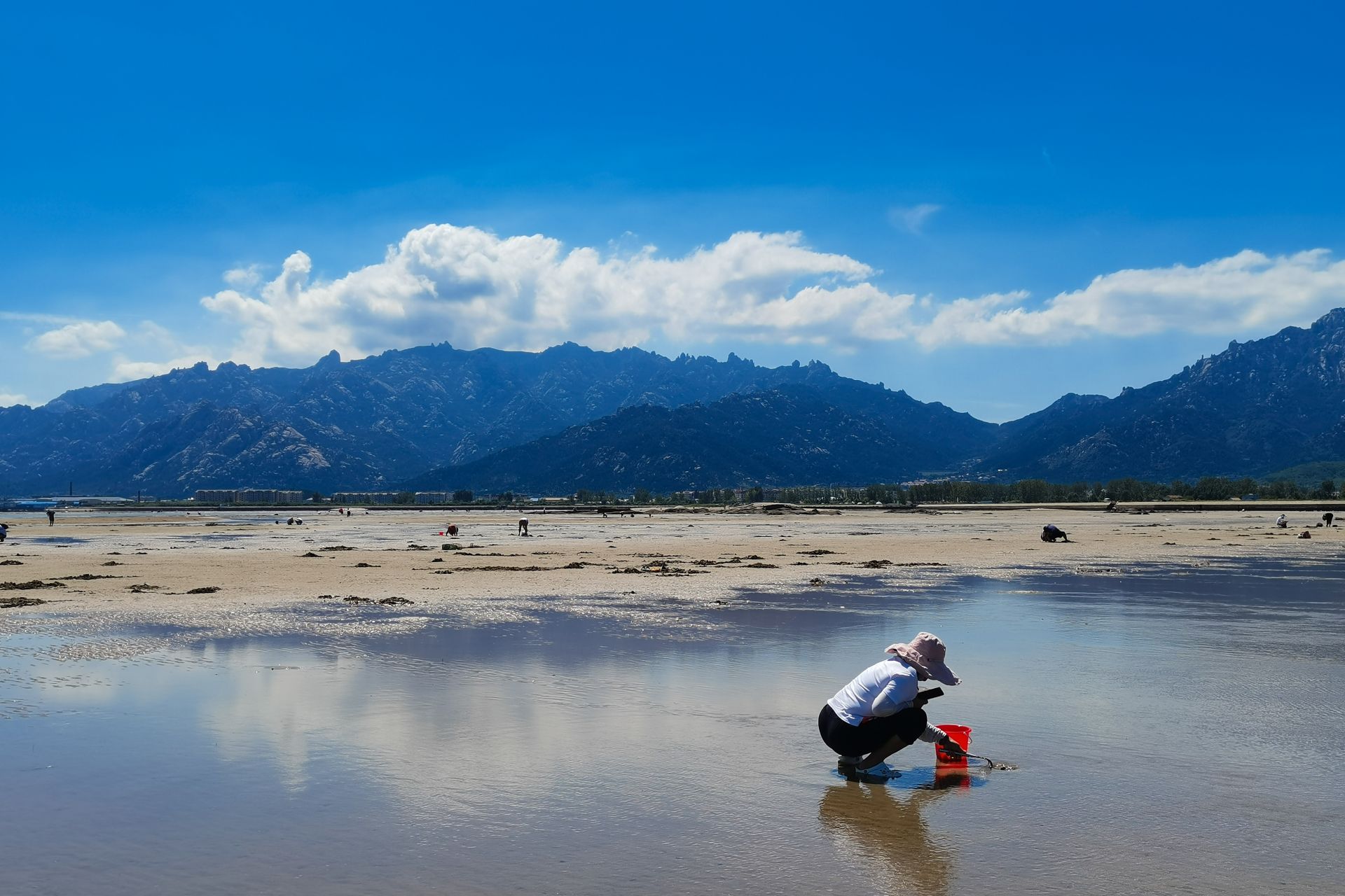 67近日,岛城天气晴好,大潮褪去,崂山区会场赶海园"人气十足".